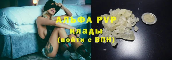 PSILOCYBIN Касимов