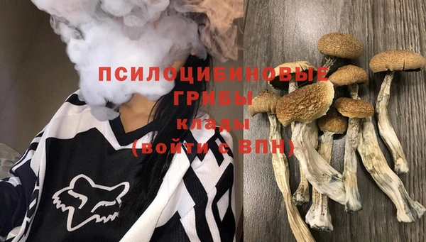 PSILOCYBIN Касимов