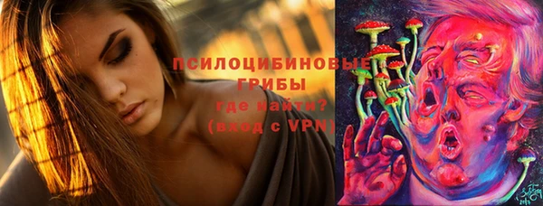 PSILOCYBIN Касимов