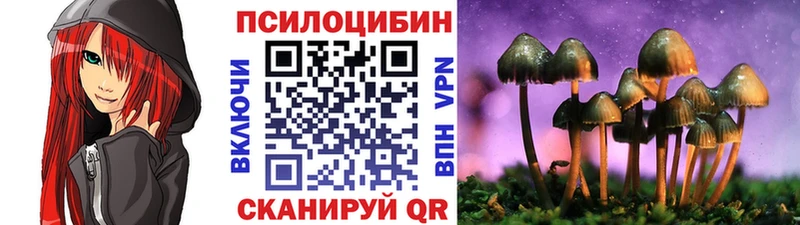 Купить где  Юрьевец  Галлюциногенные грибы Psilocybine cubensis 